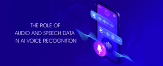 audio and speech data collection
