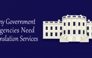 Government Translation Services