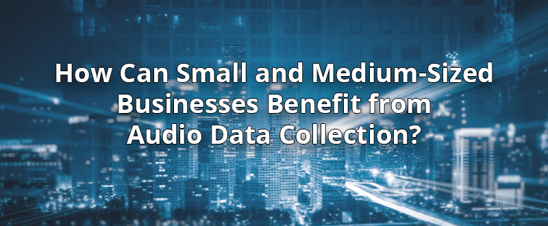 How Can Small and Medium-Sized Businesses Benefit from Audio Data Collection