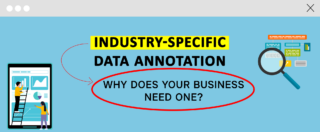 Industry-Specific Data Annotation. Why does your business need one