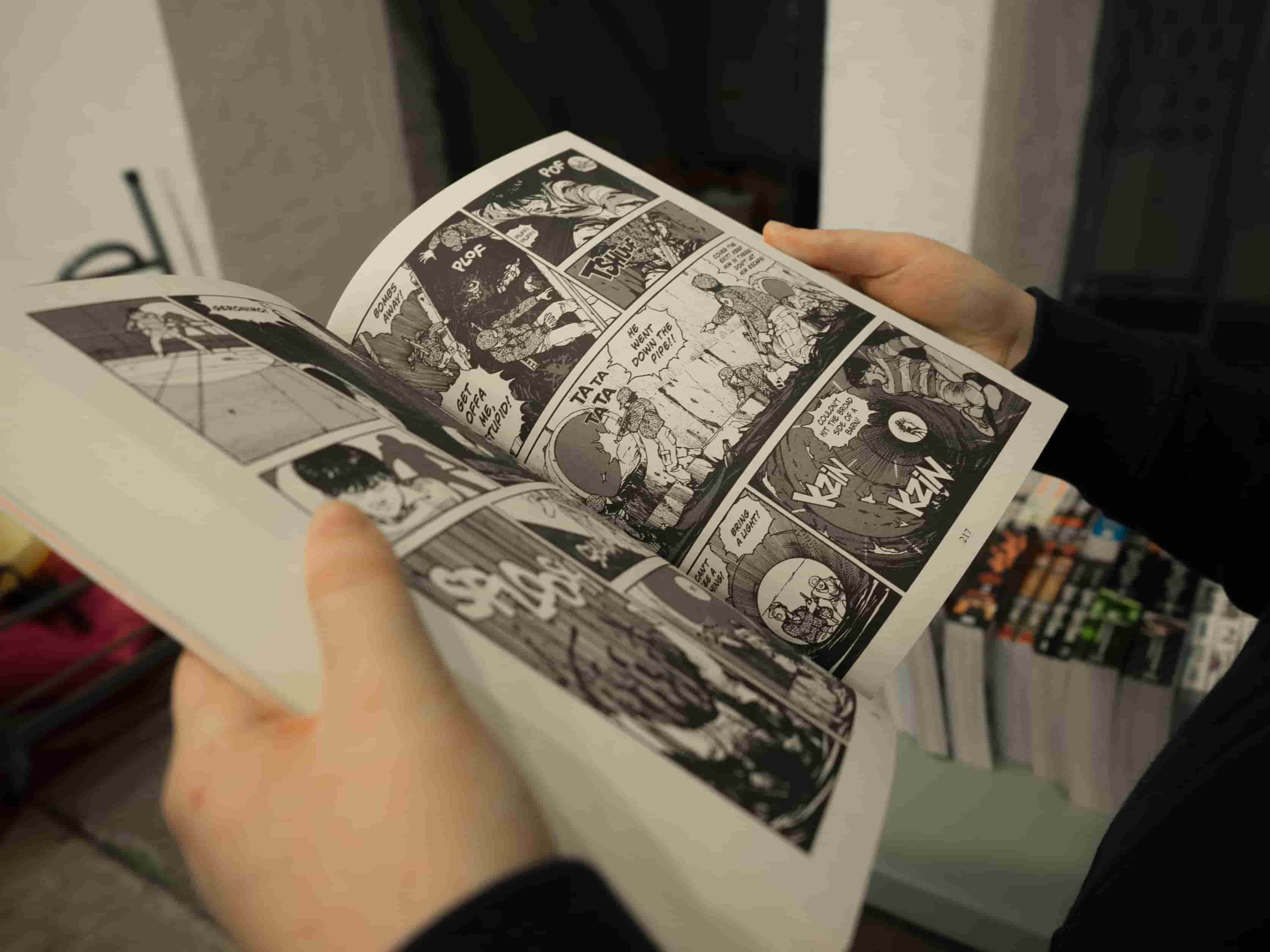 professional manga translation